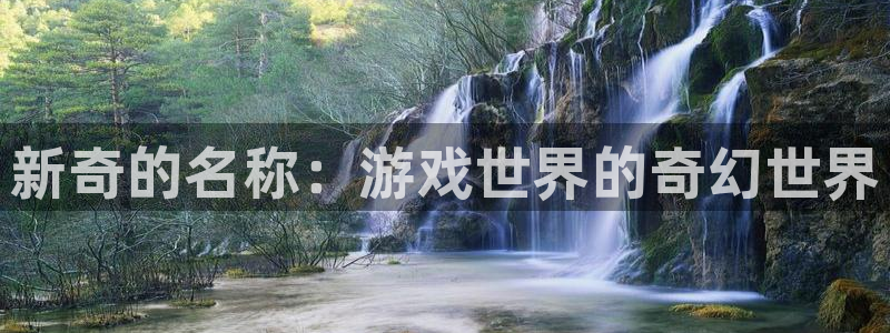 杜邦娱乐手机网页版登录：新奇的名称：游戏世界的奇幻世界