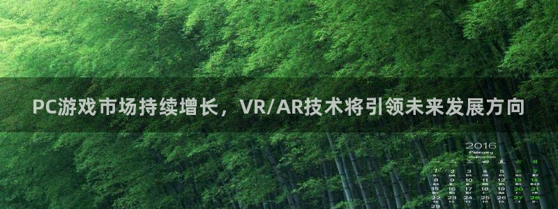 杜邦娱乐2登录：PC游戏市场持续增长，VR/AR技术将引领未