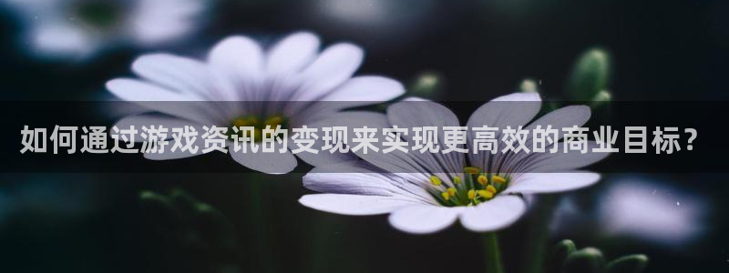 杜邦娱乐平台登录：如何通过游戏资讯的变现来实现更高效的商业目