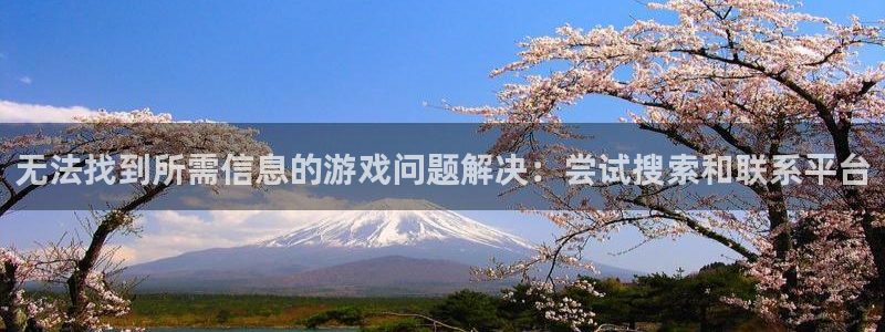 杜邦娱乐网页登录入口下载：无法找到所需信息的游戏问题解决：尝