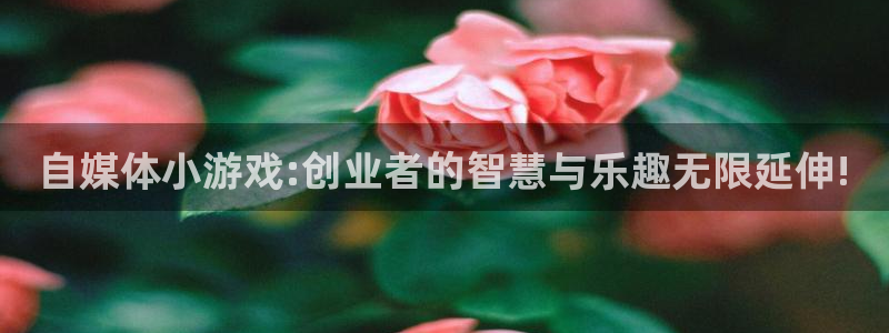 杜邦娱乐在线登录：自媒体小游戏:创业者的智慧与乐趣无限延伸!