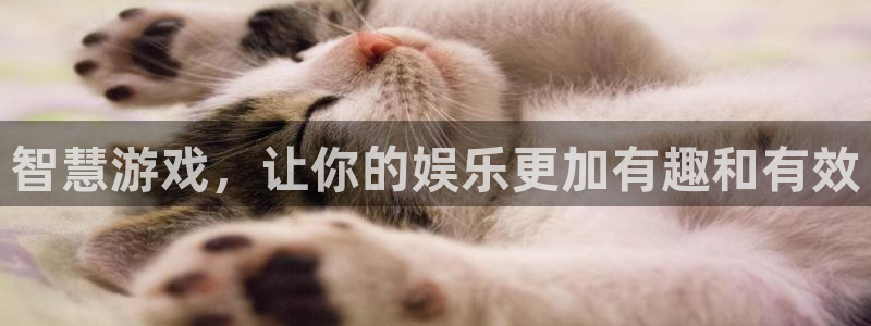 杜邦娱乐嘉675最新版本更新内容是什么：智慧游戏，让你的娱乐