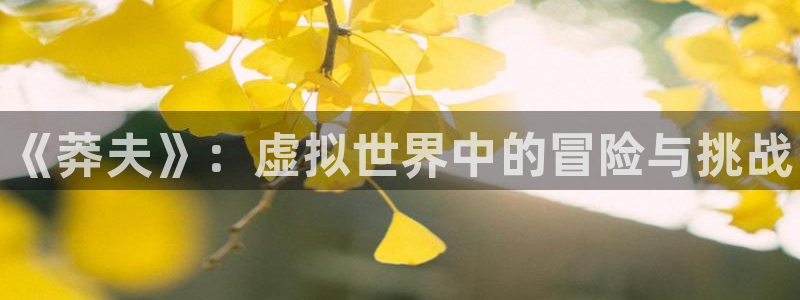 杜邦娱乐官网：《莽夫》：虚拟世界中的冒险与挑战