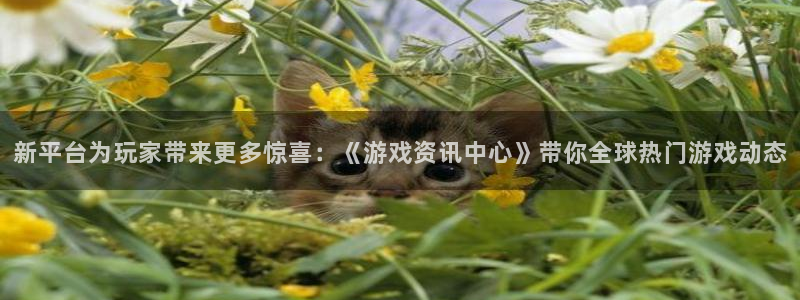 杜邦娱乐app下载|下载地址:新平台为玩家带来更多惊喜:《游