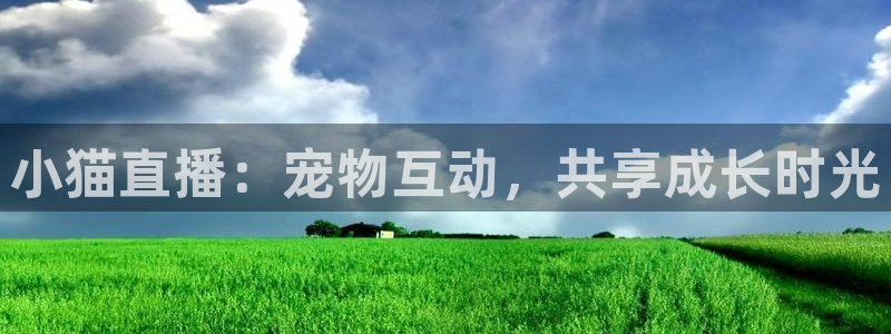 乐球直播下载官网：小猫直播：宠物互动，共享成长时光