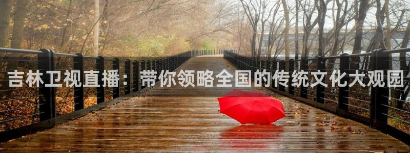 乐球体育直播app下载：吉林卫视直播：带你领略全国的传统文化大观园