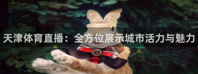 乐球看球直播：天津体育直播：全方位展示城市活力与魅力
