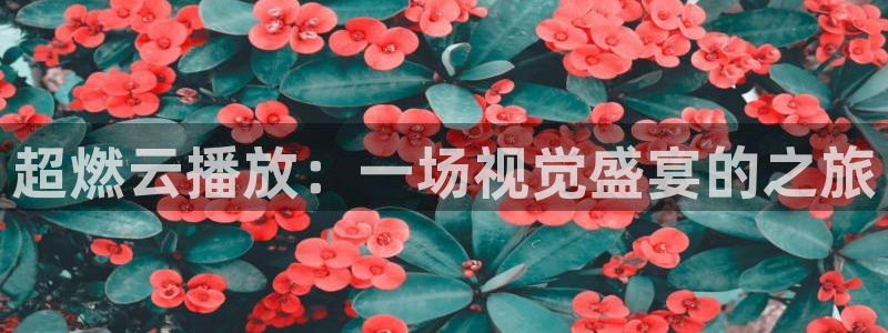 乐球nba直播免费体育直播：超燃云播放：一场视觉盛宴的之旅