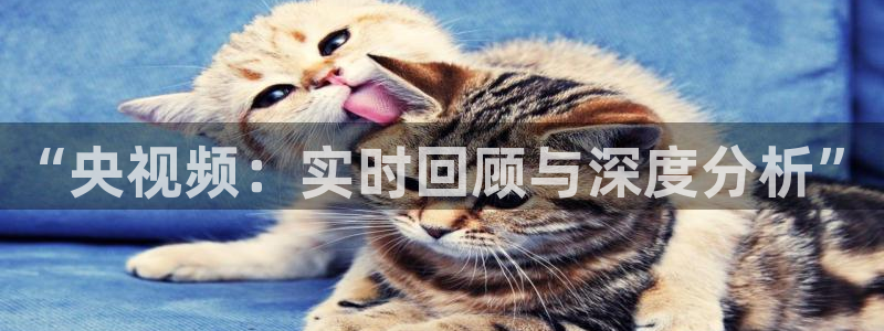 山猫乐球足球直播：“央视频：实时回顾与深度分析”