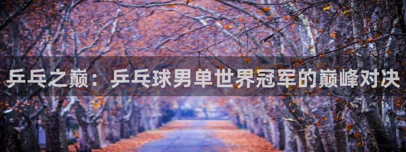 乐球直播免费观看高清版软件特色：乒乓之巅：乒乓球男单世界冠军的巅峰对决