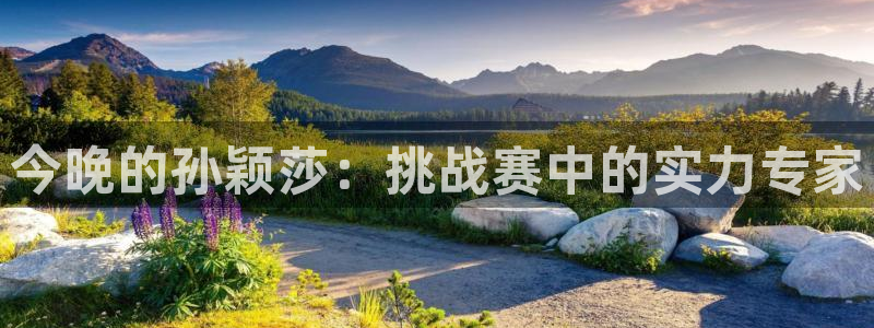 山猫乐球足球直播：今晚的孙颖莎：挑战赛中的实力专家