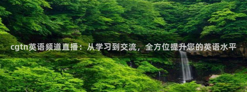 乐球直播怎么免费看：cgtn英语频道直播：从学习到交流，全方位提升您的英语水平