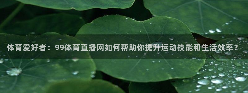 劲乐球球：体育爱好者：99体育直播网如何帮助你提升运动技能和生活效率？