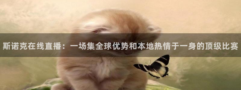 乐球足球直播在线观看：斯诺克在线直播：一场集全球优势和本地热情于一身的顶级比赛