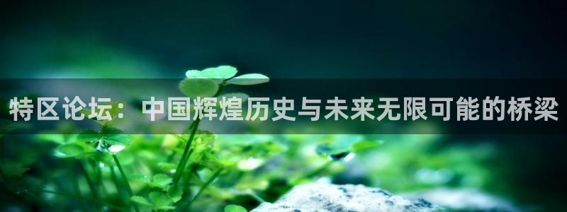 乐球直播体育直播nba：特区论坛：中国辉煌历史与未来无限可能的桥梁