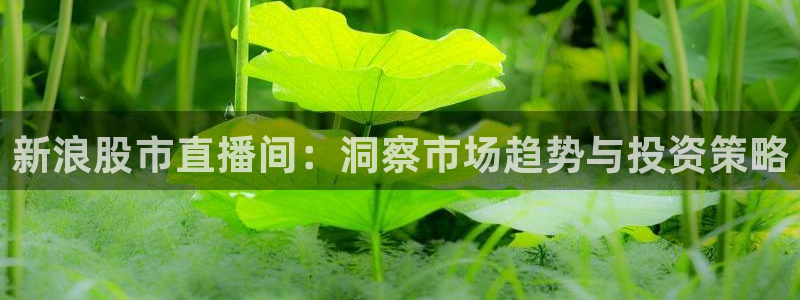 乐球直播免费观看nba：新浪股市直播间：洞察市场趋势与投资策略